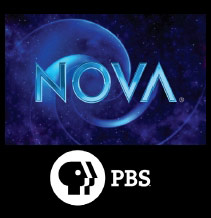 Nebula Stone Pbs Nova The fabric of the Cosmos